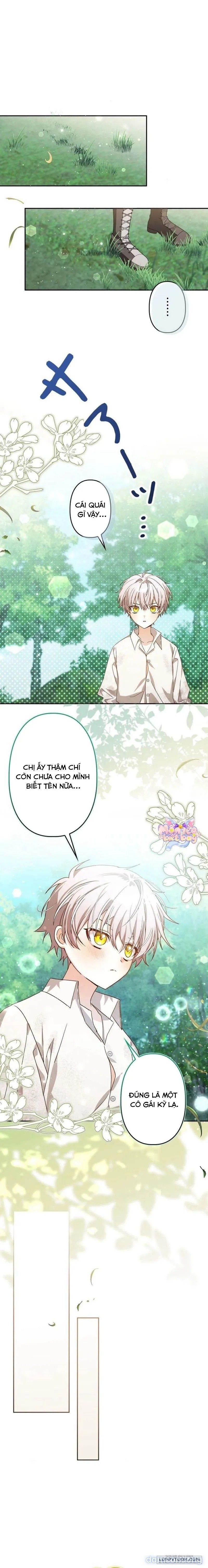 đọc truyện Trở Thành Đầu Bếp Riêng Của Nhân Vật Phản Diện Chương 2 ảnh 14 tại Thiên Thai Truyện