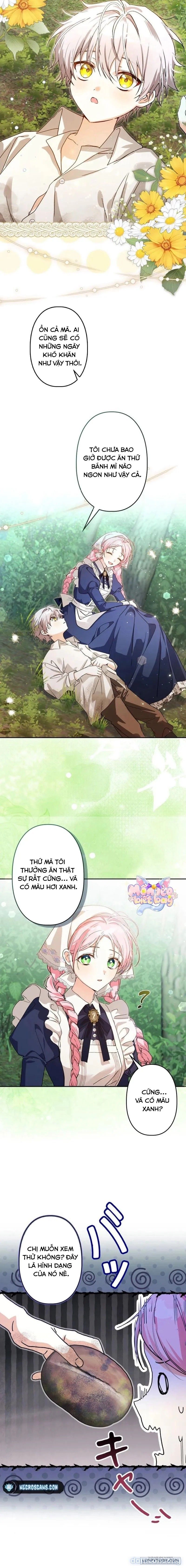 đọc truyện Trở Thành Đầu Bếp Riêng Của Nhân Vật Phản Diện Chương 2 ảnh 8 tại Thiên Thai Truyện