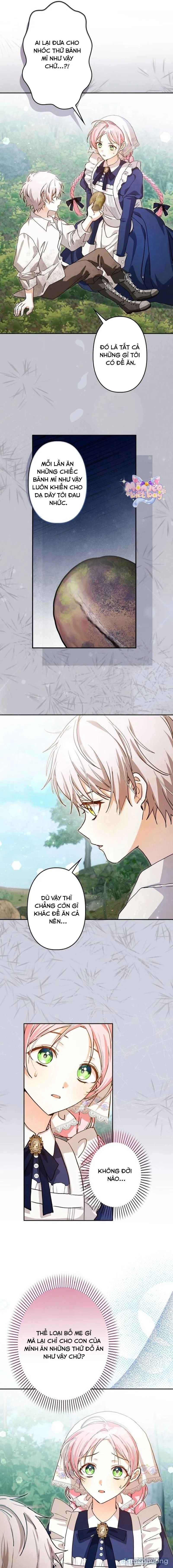 đọc truyện Trở Thành Đầu Bếp Riêng Của Nhân Vật Phản Diện Chương 2 ảnh 9 tại Thiên Thai Truyện