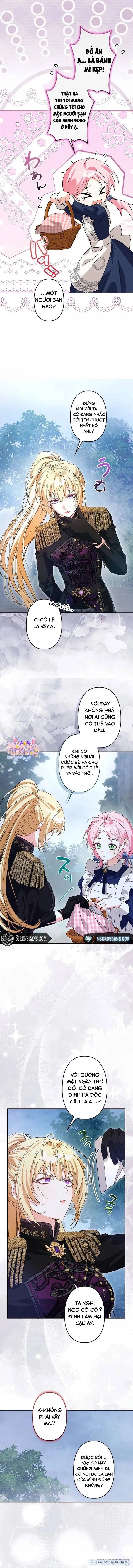 đọc truyện Trở Thành Đầu Bếp Riêng Của Nhân Vật Phản Diện Chương 6 ảnh 4 tại Thiên Thai Truyện