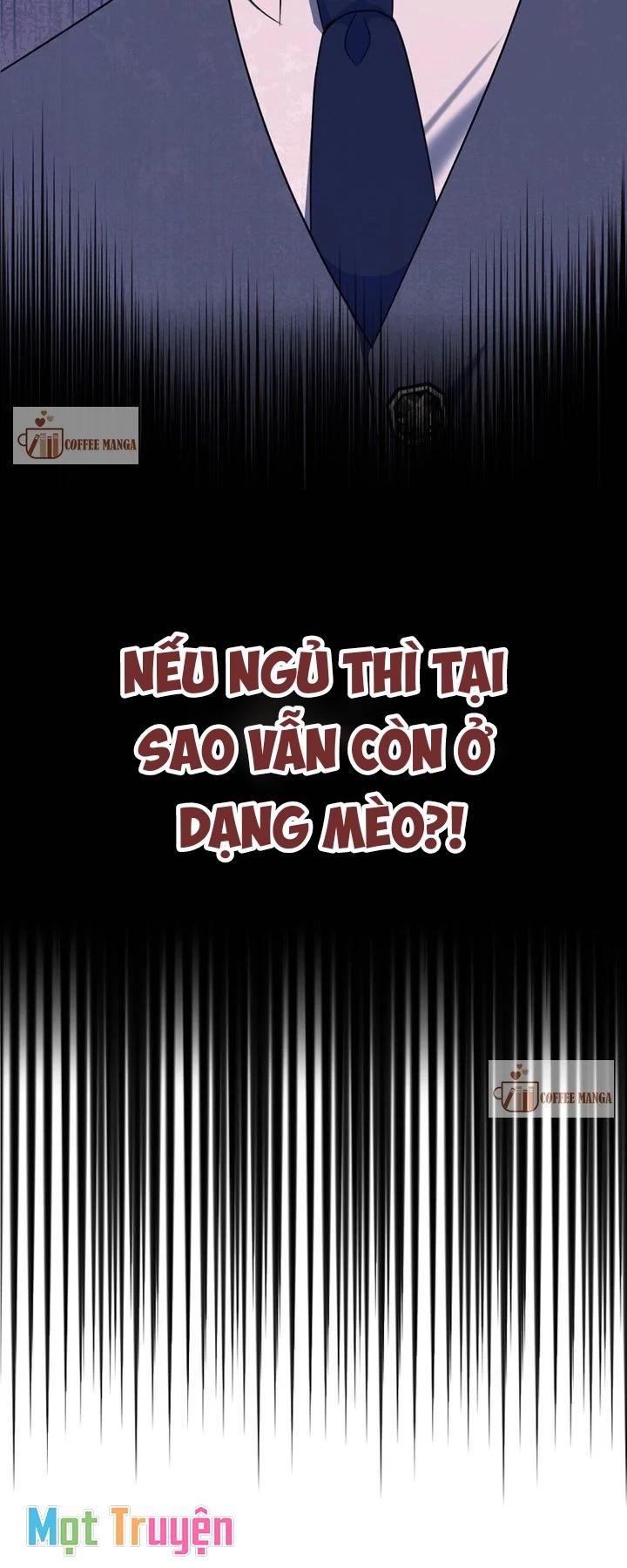 đọc truyện Trở Thành Mèo Ngủ Cùng Bạo Chúa Chương 20 ảnh 14 tại Giả Dược
