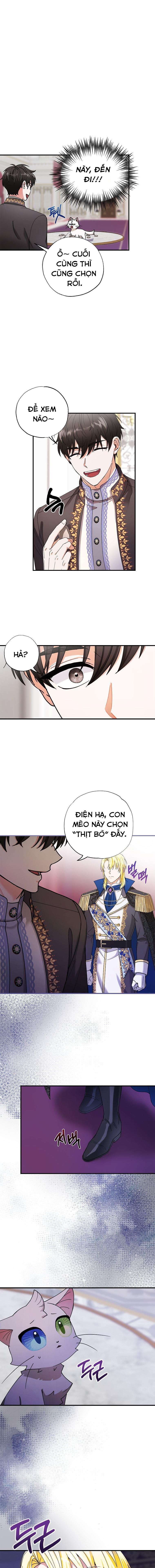 đọc truyện Trở Thành Miêu Nữ Của Hoàng Đế Chương 1 ảnh 9 tại Giả Dược