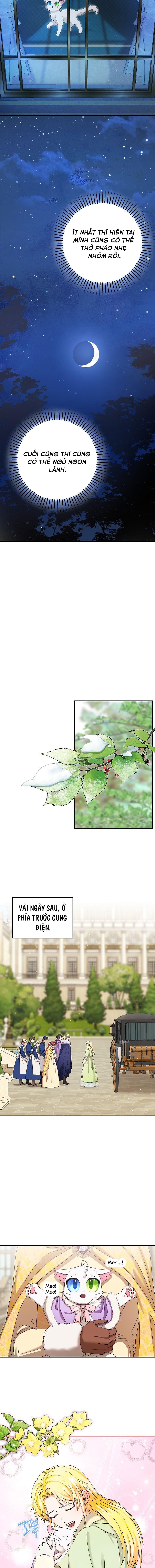 đọc truyện Trở Thành Miêu Nữ Của Hoàng Đế Chương 12 ảnh 10 tại Giả Dược