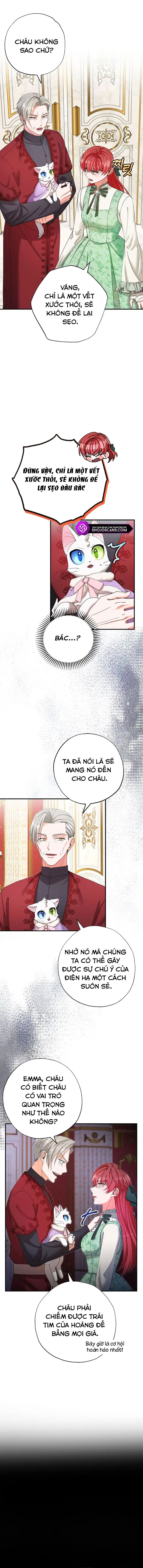 đọc truyện Trở Thành Miêu Nữ Của Hoàng Đế Chương 14 ảnh 8 tại Giả Dược