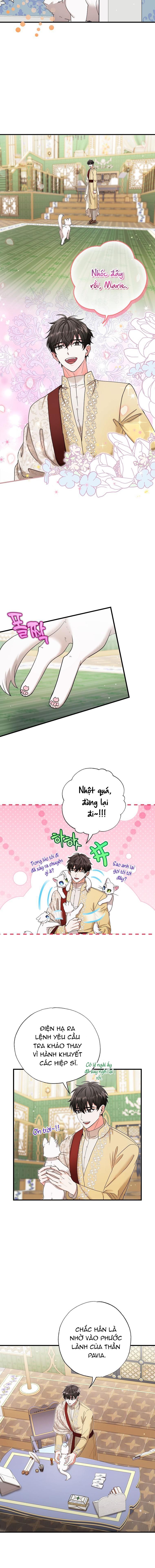 đọc truyện Trở Thành Miêu Nữ Của Hoàng Đế Chương 17 ảnh 7 tại Giả Dược