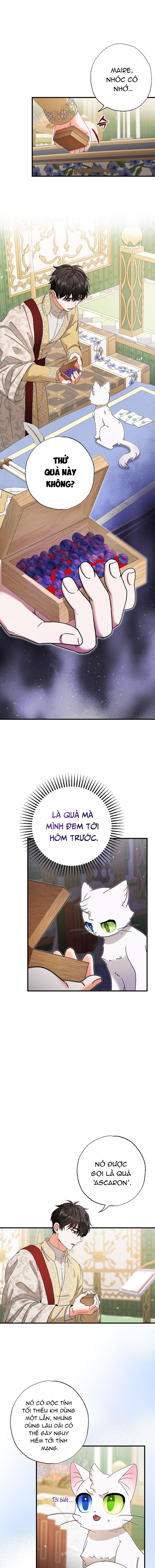 đọc truyện Trở Thành Miêu Nữ Của Hoàng Đế Chương 17 ảnh 8 tại Giả Dược