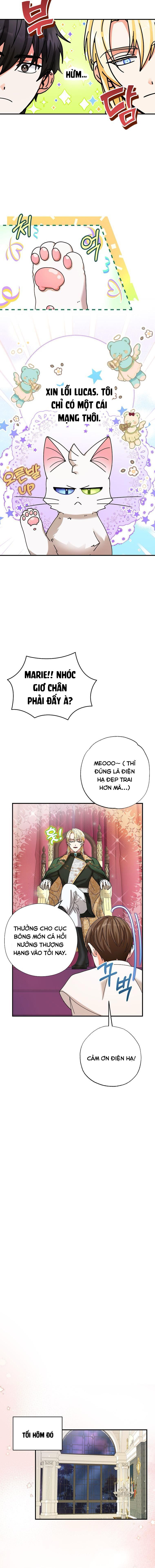 đọc truyện Trở Thành Miêu Nữ Của Hoàng Đế Chương 6 ảnh 14 tại Giả Dược