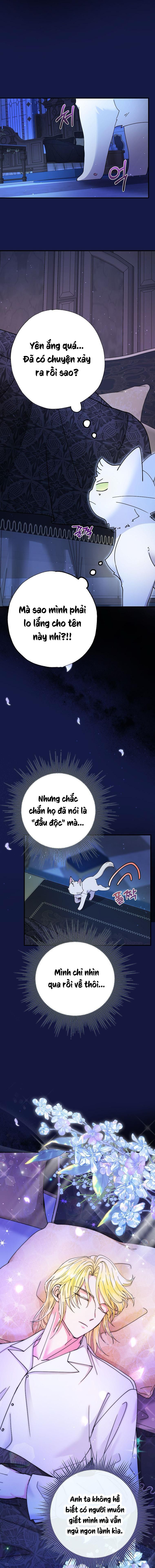 đọc truyện Trở Thành Miêu Nữ Của Hoàng Đế Chương 6 ảnh 3 tại Giả Dược