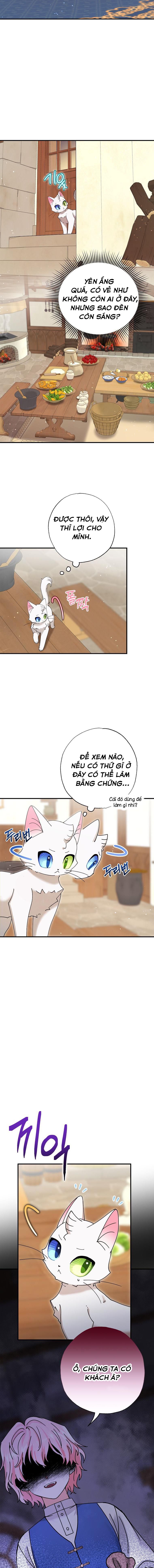 đọc truyện Trở Thành Miêu Nữ Của Hoàng Đế Chương 8 ảnh 15 tại Giả Dược