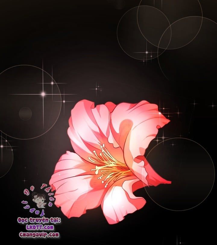 đọc truyện Trở Thành Người Pha Chế Nước Hoa Độc Nhất Của Bạo Chúa Chương 1 ảnh 5 tại Thiên Thai Truyện