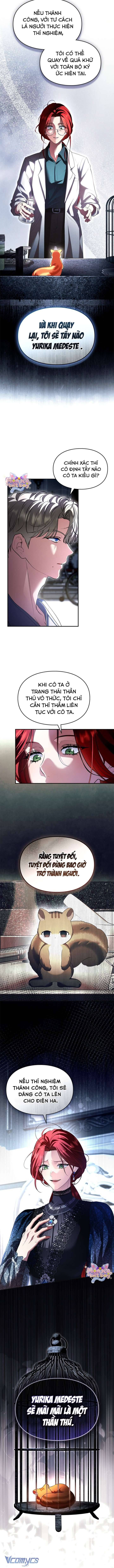 đọc truyện Trở Thành Sóc Nhỏ Của Kẻ Phản Diện Chương 45 ảnh 4 tại Thiên Thai Truyện