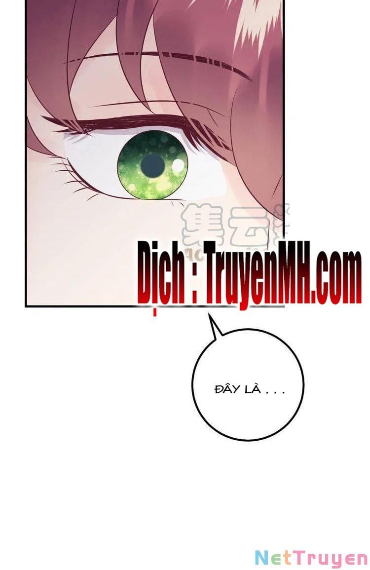 đọc truyện Trong Sinh Chi Ức Vạn Ảnh Hậu Yếu Thượng Vị Chương 363 ảnh 16 tại Thiên Thai Truyện