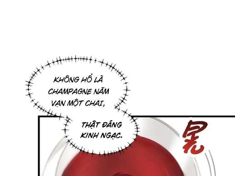 đọc truyện Trọng Sinh Không Làm Chạn Vương, Tôi Một Mình Nạp Game Thăng Cấp Chương 114 ảnh 71 tại Giả Dược