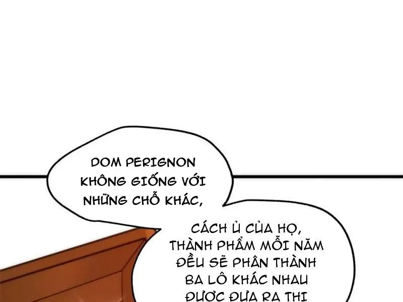 đọc truyện Trọng Sinh Không Làm Chạn Vương, Tôi Một Mình Nạp Game Thăng Cấp Chương 114 ảnh 84 tại Giả Dược
