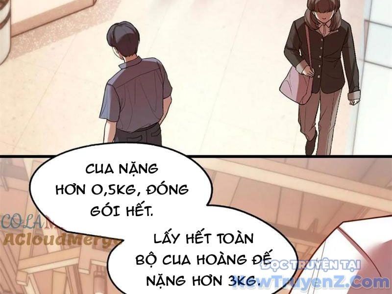 đọc truyện Trọng Sinh Không Làm Chạn Vương, Tôi Một Mình Nạp Game Thăng Cấp Chương 230 ảnh 65 tại Giả Dược