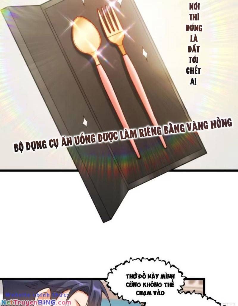 đọc truyện Trọng Sinh Không Làm Chạn Vương, Tôi Một Mình Nạp Game Thăng Cấp Chương 58 ảnh 35 tại Giả Dược