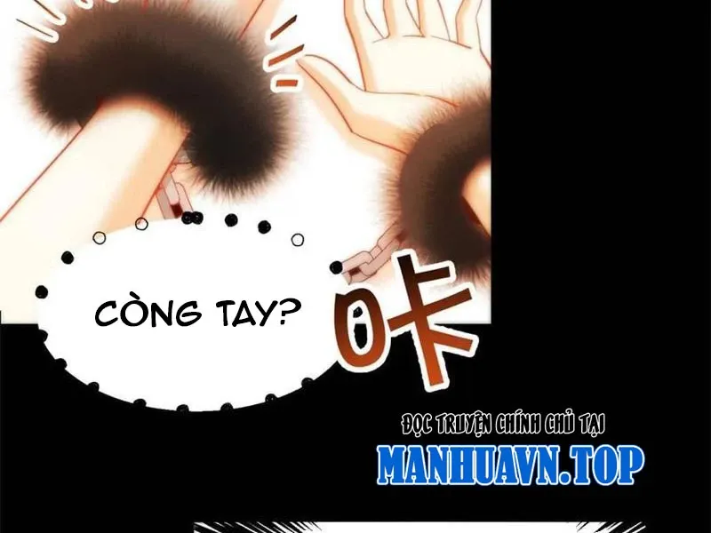 đọc truyện Trọng Sinh Không Làm Chạn Vương, Tôi Một Mình Nạp Game Thăng Cấp Chương 91 ảnh 19 tại Giả Dược