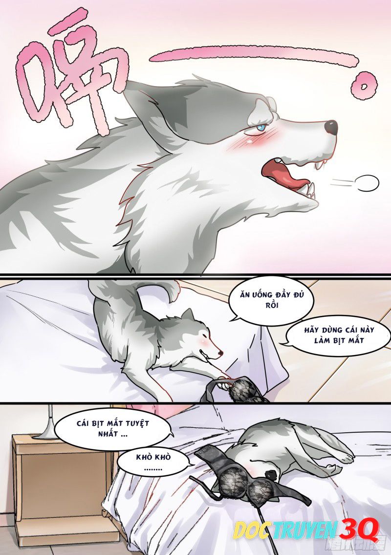 đọc truyện Trọng Sinh Thành Chó Của Nữ Thần Chương 1 ảnh 12 tại Thiên Thai Truyện