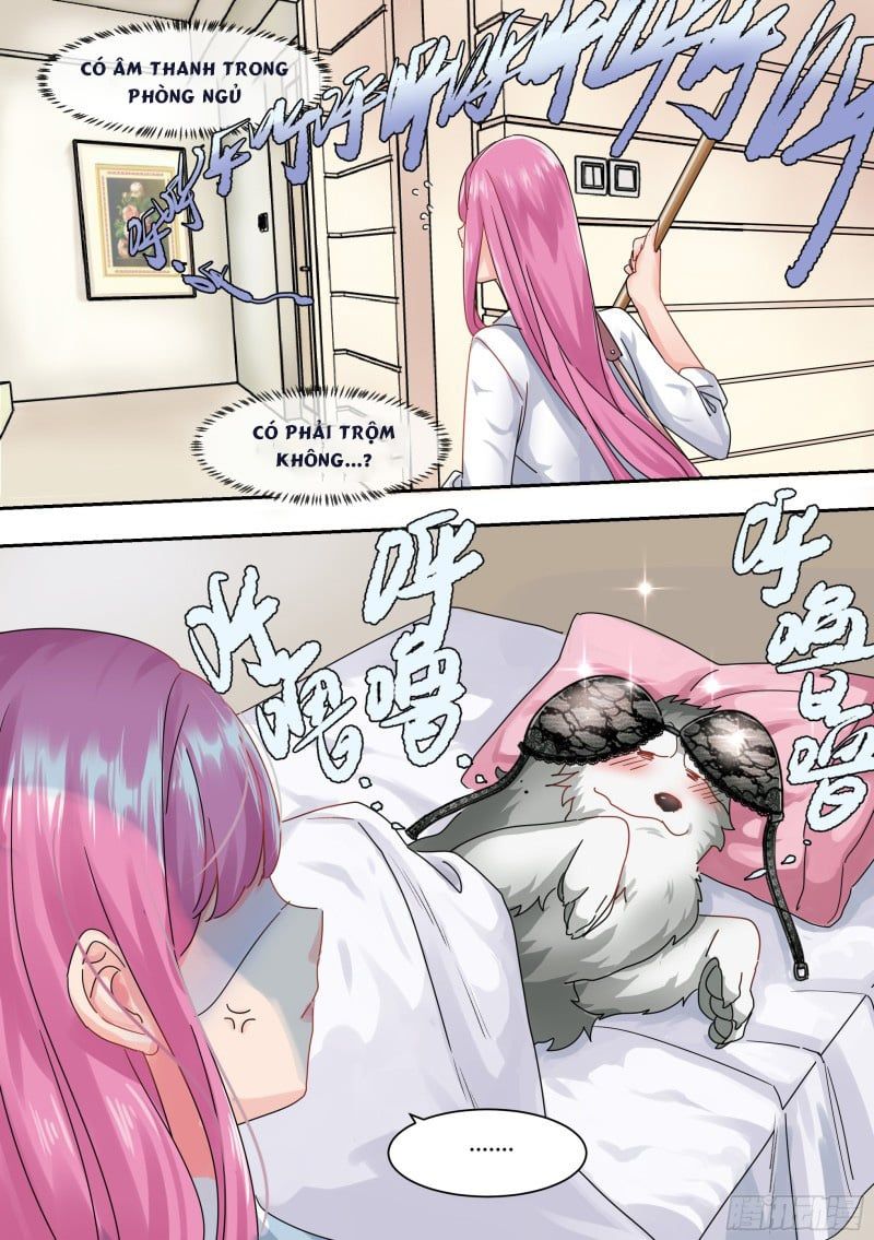 đọc truyện Trọng Sinh Thành Chó Của Nữ Thần Chương 1 ảnh 15 tại Thiên Thai Truyện