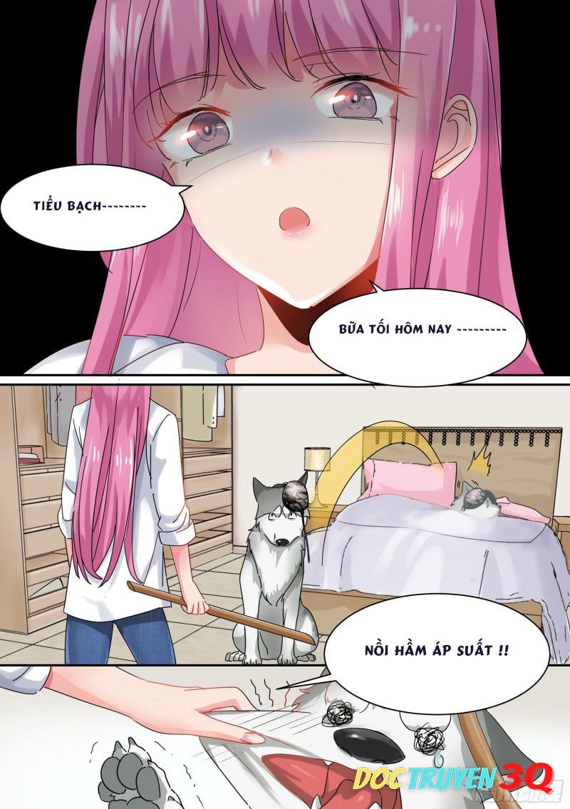 đọc truyện Trọng Sinh Thành Chó Của Nữ Thần Chương 1 ảnh 16 tại Thiên Thai Truyện