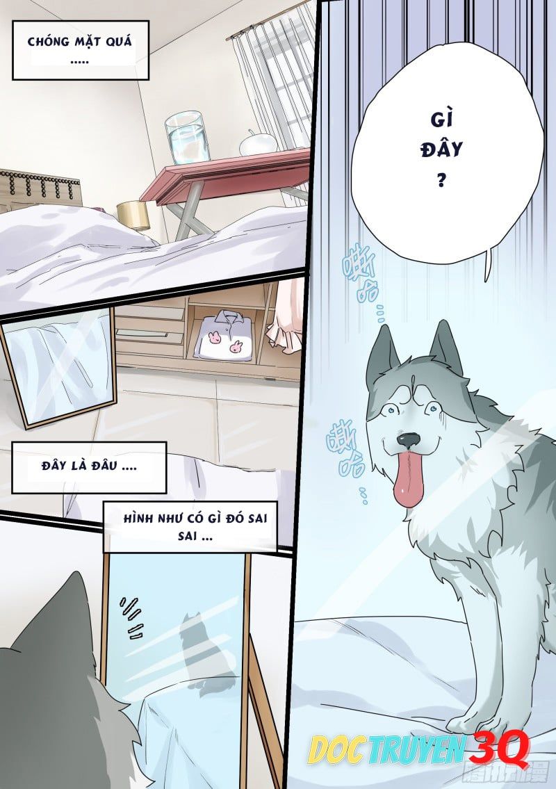 đọc truyện Trọng Sinh Thành Chó Của Nữ Thần Chương 1 ảnh 5 tại Thiên Thai Truyện