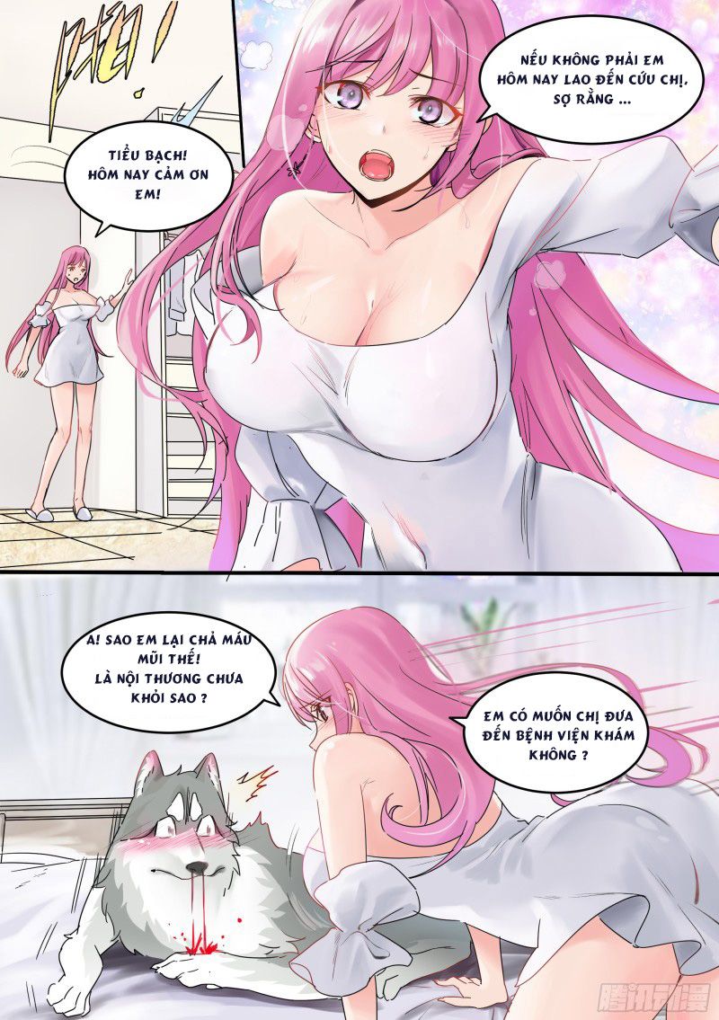 đọc truyện Trọng Sinh Thành Chó Của Nữ Thần Chương 1 ảnh 7 tại Thiên Thai Truyện