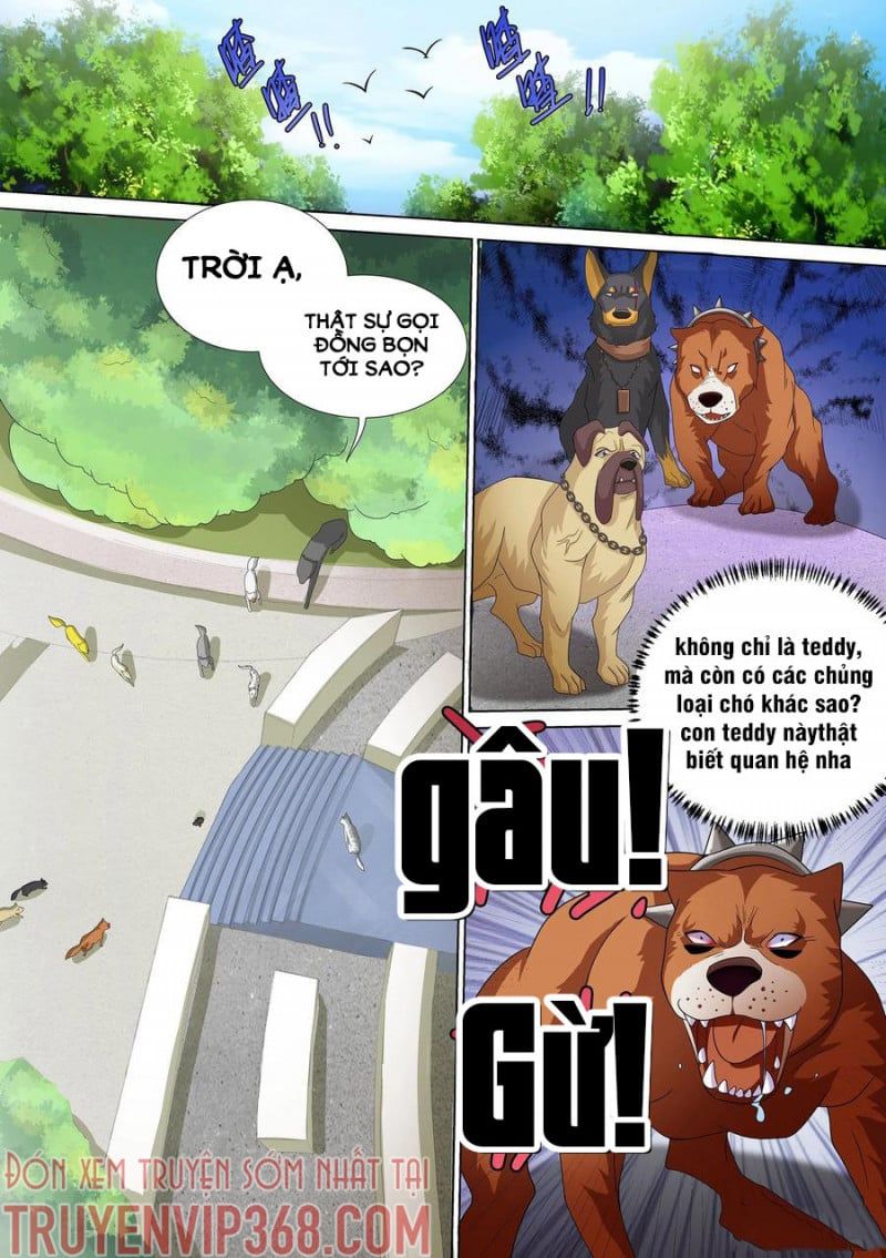 đọc truyện Trọng Sinh Thành Chó Của Nữ Thần Chương 10 ảnh 3 tại Thiên Thai Truyện