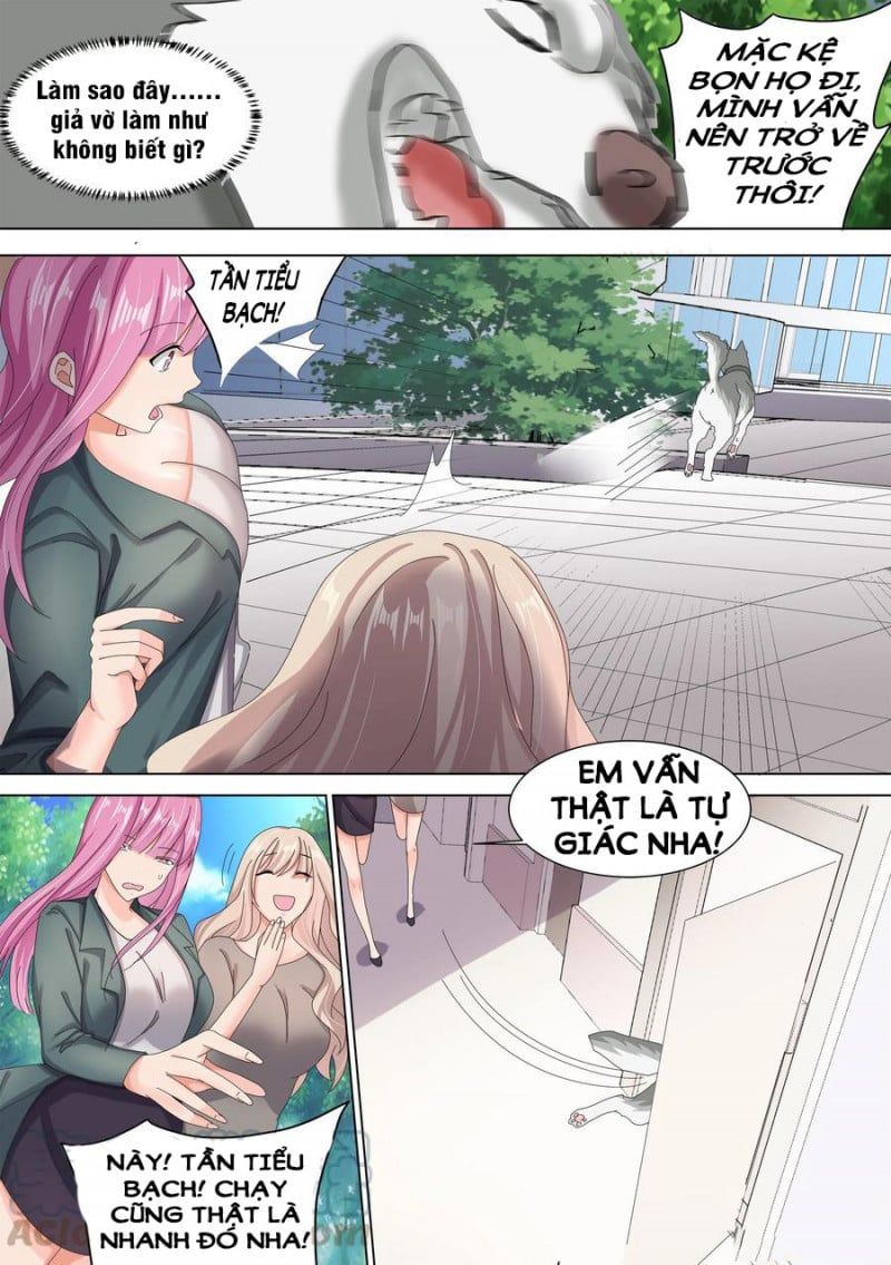 đọc truyện Trọng Sinh Thành Chó Của Nữ Thần Chương 10 ảnh 12 tại Thiên Thai Truyện