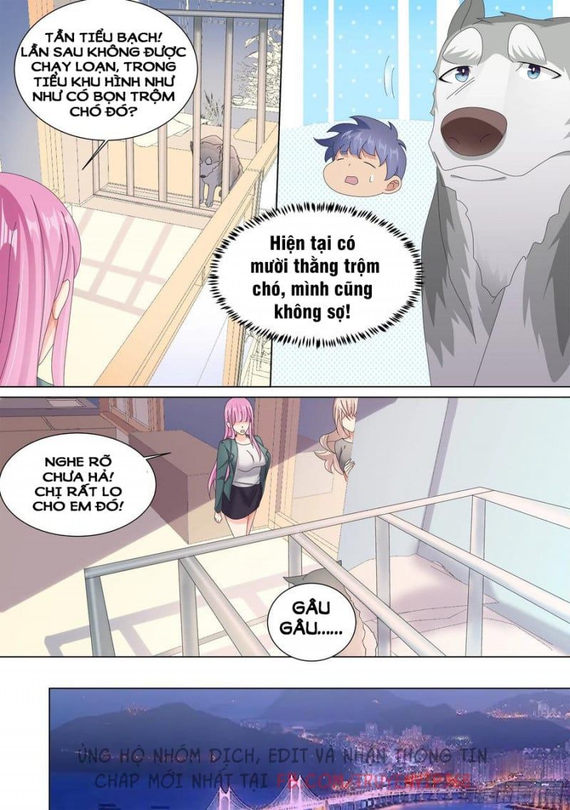 đọc truyện Trọng Sinh Thành Chó Của Nữ Thần Chương 10 ảnh 13 tại Thiên Thai Truyện