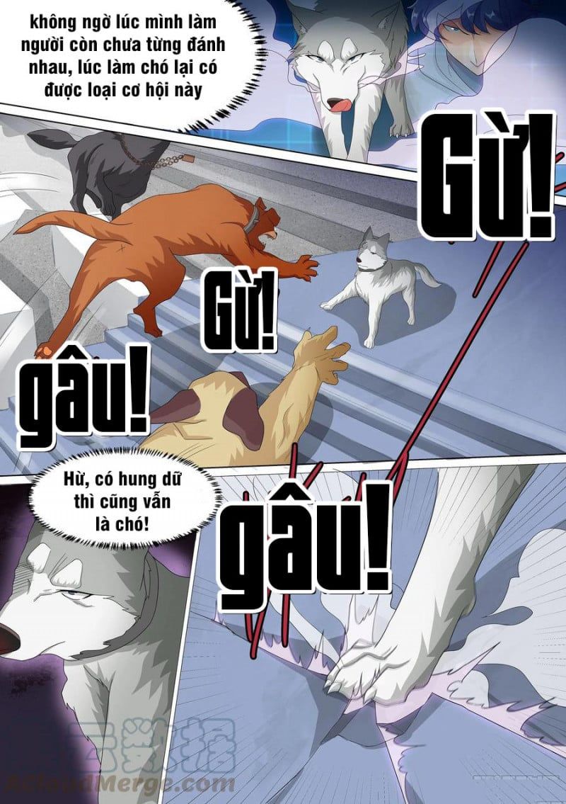 đọc truyện Trọng Sinh Thành Chó Của Nữ Thần Chương 10 ảnh 4 tại Thiên Thai Truyện