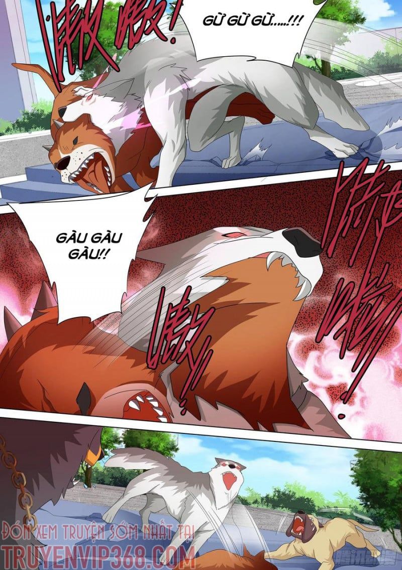 đọc truyện Trọng Sinh Thành Chó Của Nữ Thần Chương 10 ảnh 5 tại Thiên Thai Truyện