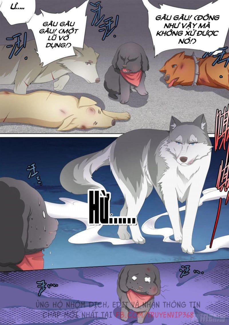 đọc truyện Trọng Sinh Thành Chó Của Nữ Thần Chương 10 ảnh 7 tại Thiên Thai Truyện