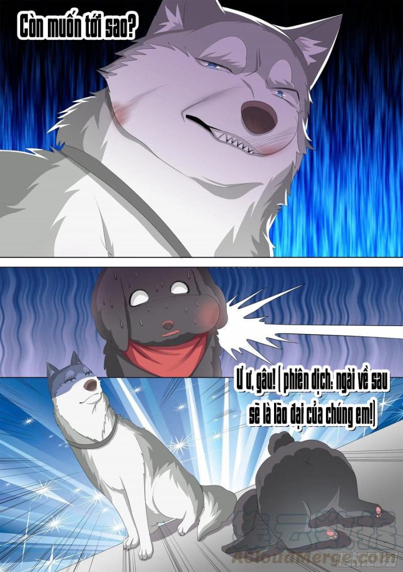 đọc truyện Trọng Sinh Thành Chó Của Nữ Thần Chương 10 ảnh 8 tại Thiên Thai Truyện