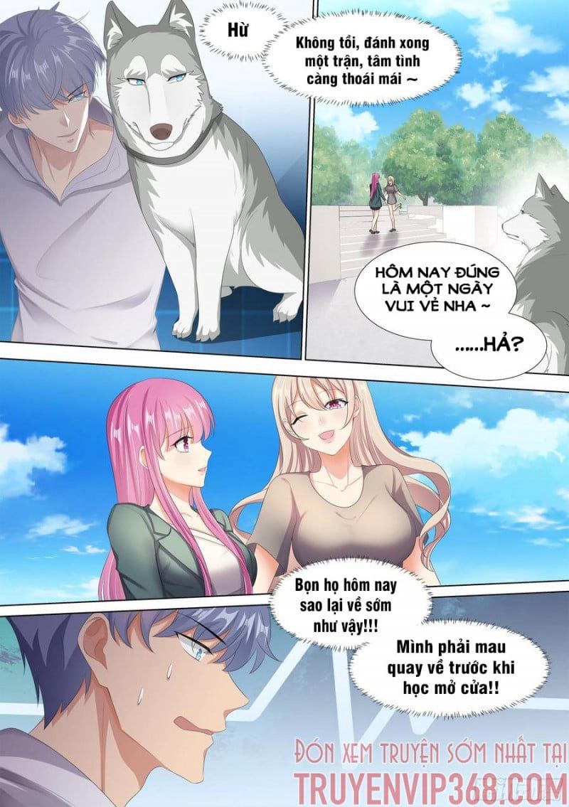 đọc truyện Trọng Sinh Thành Chó Của Nữ Thần Chương 10 ảnh 9 tại Thiên Thai Truyện