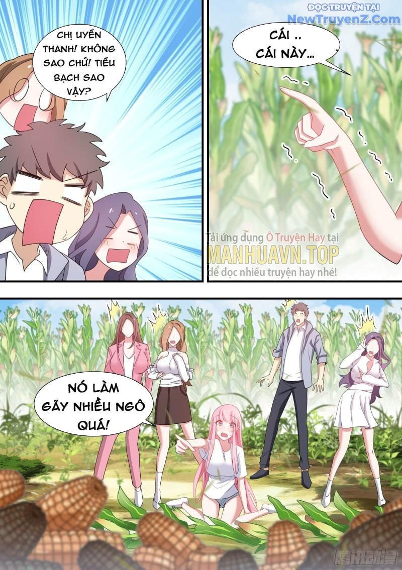 đọc truyện Trọng Sinh Thành Chó Của Nữ Thần Chương 102 ảnh 14 tại Thiên Thai Truyện