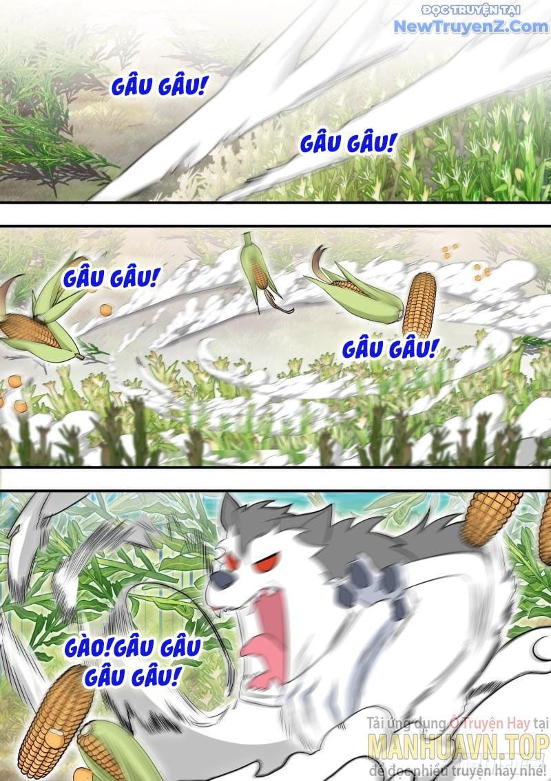 đọc truyện Trọng Sinh Thành Chó Của Nữ Thần Chương 102 ảnh 10 tại Thiên Thai Truyện