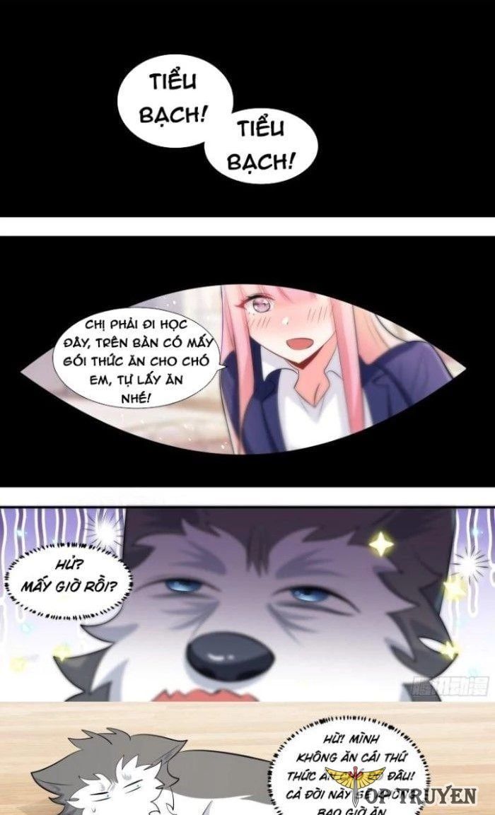 đọc truyện Trọng Sinh Thành Chó Của Nữ Thần Chương 115 ảnh 4 tại Thiên Thai Truyện