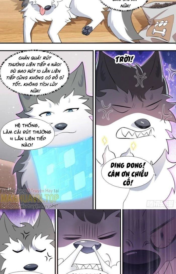 đọc truyện Trọng Sinh Thành Chó Của Nữ Thần Chương 115 ảnh 5 tại Thiên Thai Truyện