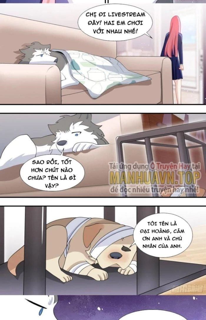 đọc truyện Trọng Sinh Thành Chó Của Nữ Thần Chương 126 ảnh 14 tại Thiên Thai Truyện