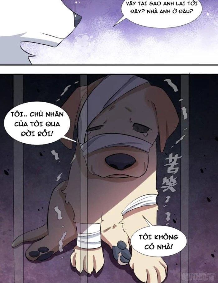 đọc truyện Trọng Sinh Thành Chó Của Nữ Thần Chương 126 ảnh 15 tại Thiên Thai Truyện