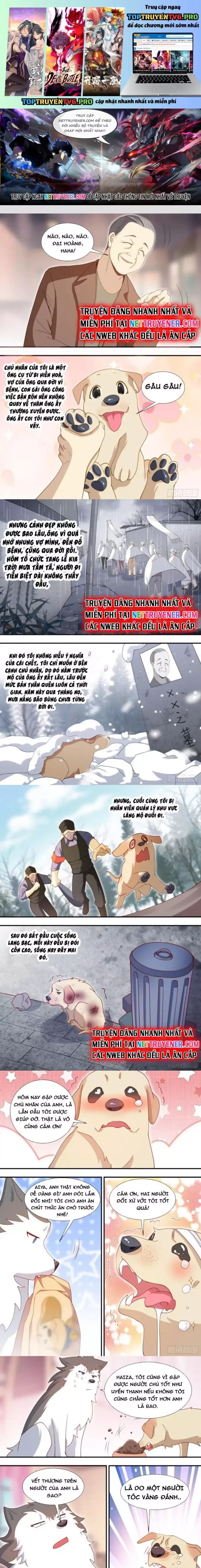 đọc truyện Trọng Sinh Thành Chó Của Nữ Thần Chương 127 ảnh 3 tại Thiên Thai Truyện