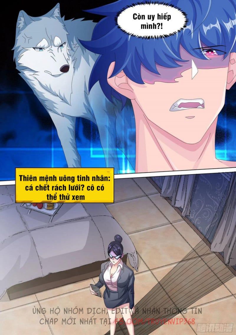 đọc truyện Trọng Sinh Thành Chó Của Nữ Thần Chương 13 ảnh 11 tại Thiên Thai Truyện