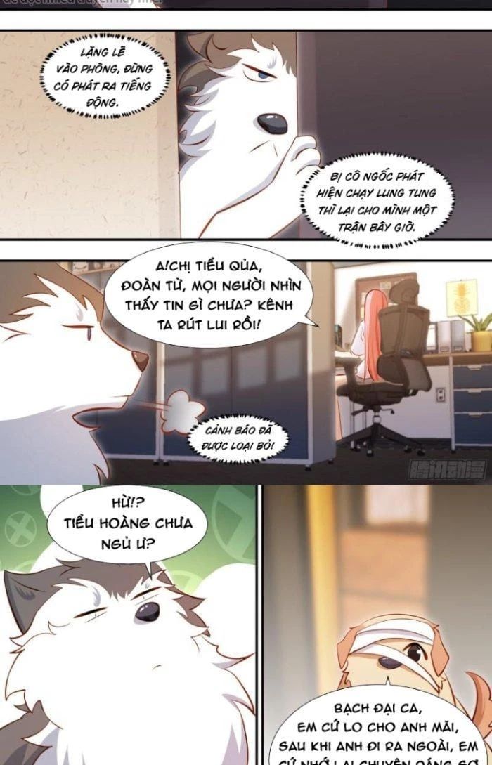 đọc truyện Trọng Sinh Thành Chó Của Nữ Thần Chương 131 ảnh 7 tại Thiên Thai Truyện