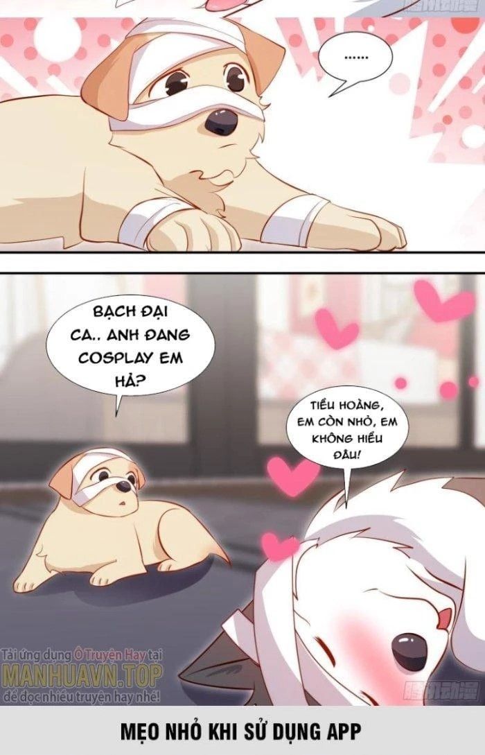 đọc truyện Trọng Sinh Thành Chó Của Nữ Thần Chương 132 ảnh 14 tại Thiên Thai Truyện