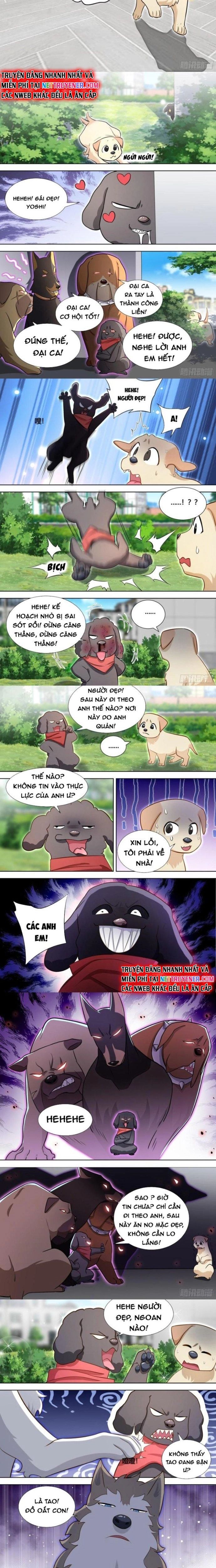 đọc truyện Trọng Sinh Thành Chó Của Nữ Thần Chương 140 ảnh 4 tại Thiên Thai Truyện