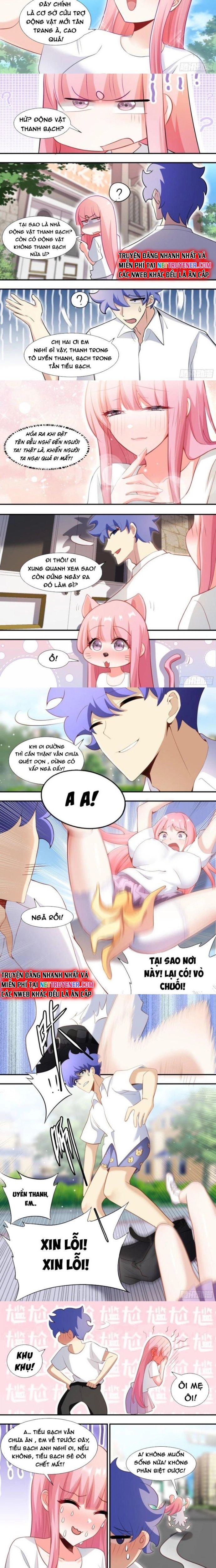 đọc truyện Trọng Sinh Thành Chó Của Nữ Thần Chương 145 ảnh 4 tại Thiên Thai Truyện