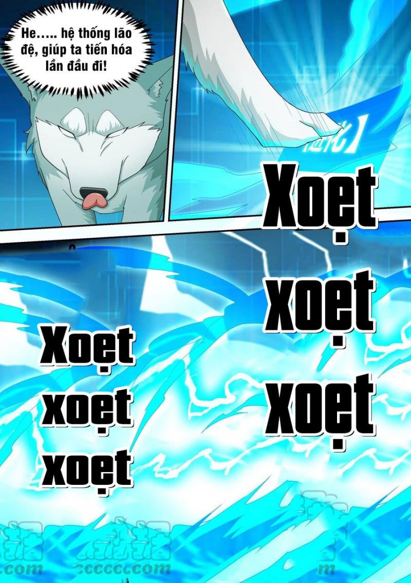 đọc truyện Trọng Sinh Thành Chó Của Nữ Thần Chương 15 ảnh 12 tại Thiên Thai Truyện