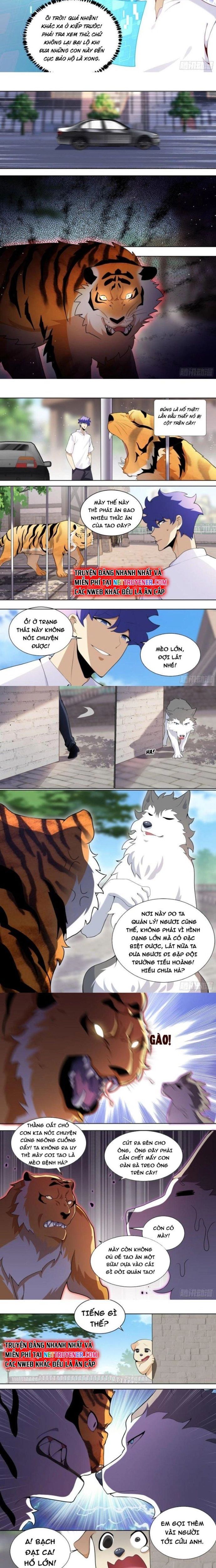 đọc truyện Trọng Sinh Thành Chó Của Nữ Thần Chương 157 ảnh 4 tại Thiên Thai Truyện