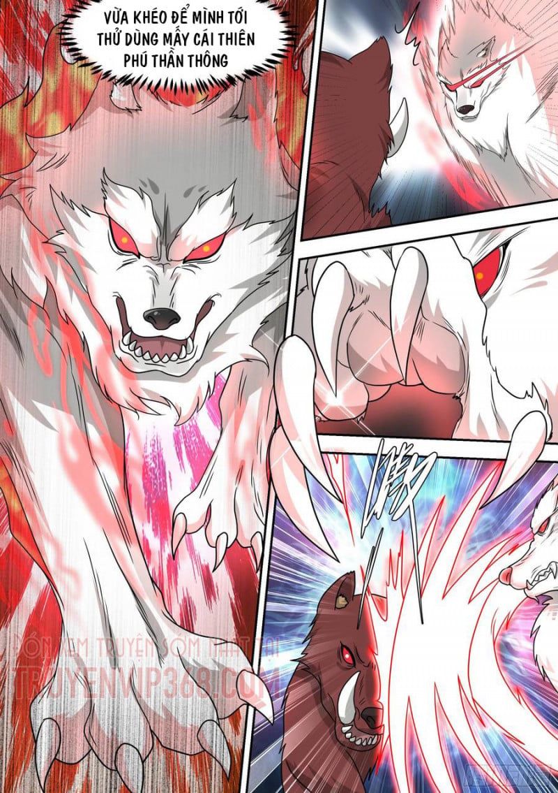 đọc truyện Trọng Sinh Thành Chó Của Nữ Thần Chương 17 ảnh 12 tại Thiên Thai Truyện