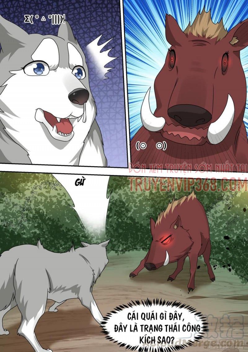 đọc truyện Trọng Sinh Thành Chó Của Nữ Thần Chương 17 ảnh 11 tại Thiên Thai Truyện